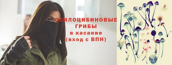 дурь Касимов