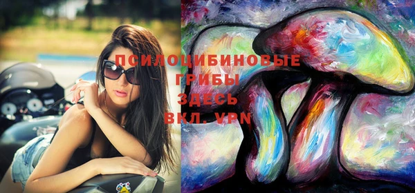 дурь Касимов