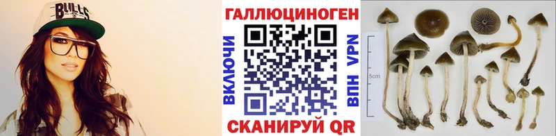 Галлюциногенные грибы мухоморы ОМГ ОМГ сайт Оренбург