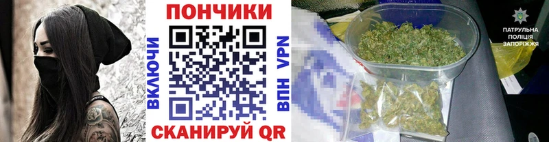 Марихуана сатива как найти закладки Оренбург